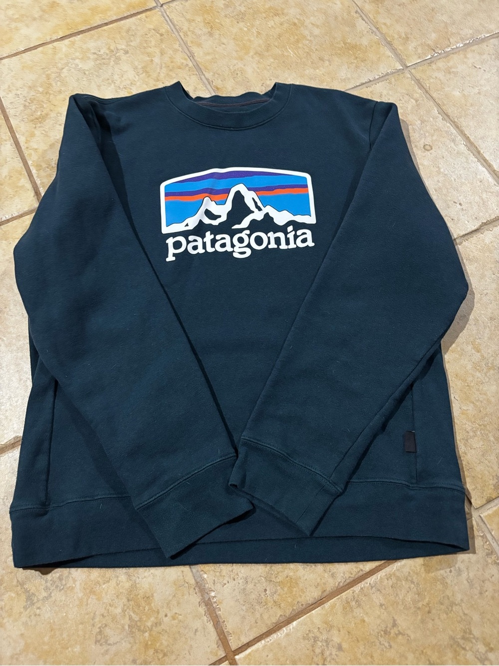 Patagonia Men’s Dark Blue Crewneck with Multicolor Mountain Logo